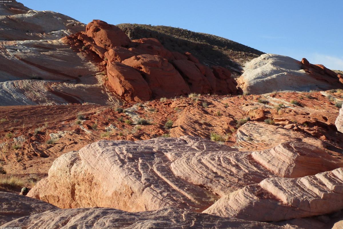 Rizières en terrasses au lever du jour en Asie du Sud-Est